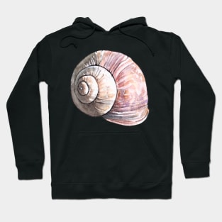 Snail Shell Watercolor Hoodie